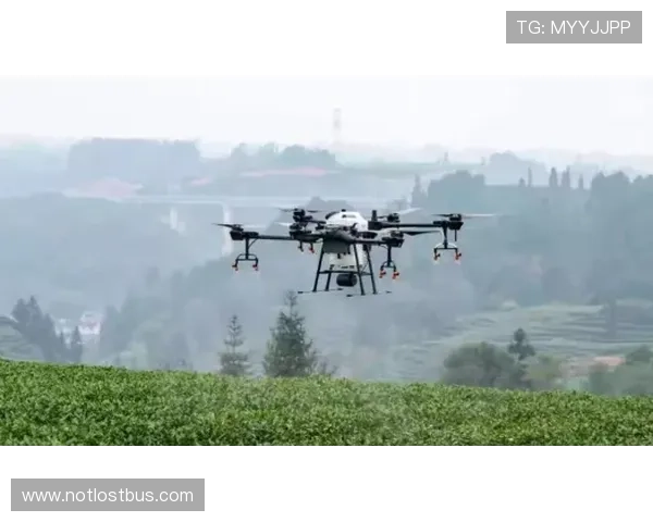 xingkong.com：打造智能空中生态系统推动无人机技术的快速发展与应用