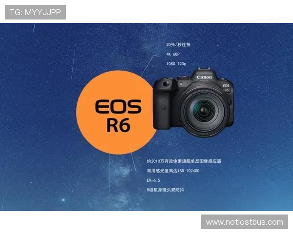 快速找到星空登录入口的最安全方式及应对登录异常技巧